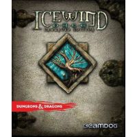Icewind Dale (Enhanced Edition)