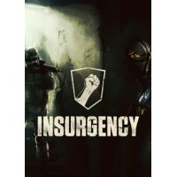 Insurgency