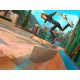 Shaun White Skateboarding