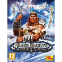 King's Bounty: Warriors of the North - Platforma Steam cd-key