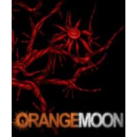 Orange Moon - Platforma Steam cd-key
