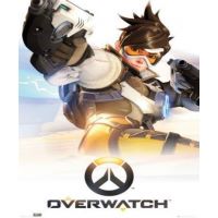 Overwatch (Standard Edition)