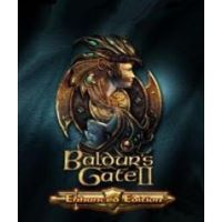 Baldurs Gate II (Enhanced Edition) - Platformy Steam cd-key