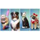 The Sims 4: My First Pet Stuff