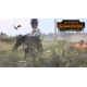 Total War: Warhammer - Call of the Beastmen (DLC)