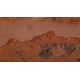 Surviving Mars (Deluxe Upgrade Pack) (DLC) - Platformy Steam cd-key