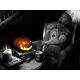 The Last Crown: Midnight Horror - Platformy Steam cd-key