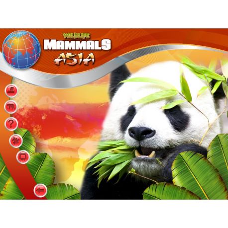 The Wildlife Creative Studio - Platformy Steam cd-key