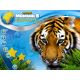 The Wildlife Creative Studio - Platformy Steam cd-key