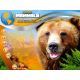The Wildlife Creative Studio - Platformy Steam cd-key