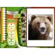 The Wildlife Creative Studio - Platformy Steam cd-key