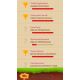 Truffle Saga - Platformy Steam cd-key