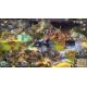 Warlock 2: The Exiled - Platformy Steam cd-key