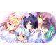 Wild Romance - Platformy Steam cd-key