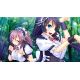 Wild Romance - Platformy Steam cd-key