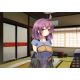Wild Romance - Platformy Steam cd-key