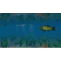 European Fishing - Platformy Steam cd-key
