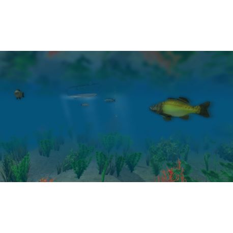 European Fishing - Platformy Steam cd-key