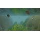 European Fishing - Platformy Steam cd-key