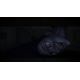 White Day: A Labyrinth Named School - Platformy Steam cd-key