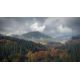 theHunter™: Call of the Wild - Medved-Taiga DLC