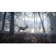 theHunter™: Call of the Wild - Medved-Taiga DLC