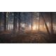 theHunter™: Call of the Wild - Medved-Taiga DLC