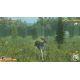 Deer Hunt Legends - Platforma Steam cd-key