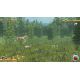 Deer Hunt Legends - Platforma Steam cd-key