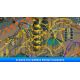 RollerCoaster Tycoon® Classic - Platformy Steam cd-key
