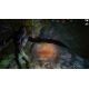 Hush Hush - Unlimited Survival Horror - Platforma Steam cd-key