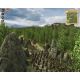 Imperium Romanum Gold - Platforma Steam cd-key