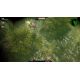 Krater - Platforma Steam cd-key