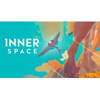 InnerSpace - Platformy Steam cd-key