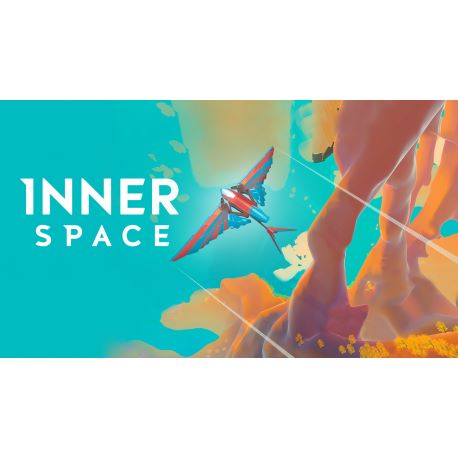 InnerSpace - Platformy Steam cd-key