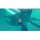 InnerSpace - Platformy Steam cd-key