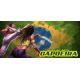 Martial Arts: Capoeira - Platforma Steam cd-key