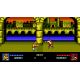 Double Dragon IV