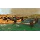 Rise of Venice - Platforma Steam cd-key