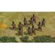 Sid Meier’s Civilization® V: Civilization and Scenario Pack – Polynesia (MAC) DLC - Platforma Steam cd-key