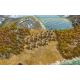 Sid Meier’s Civilization® V: Double Civilization and Scenario Pack – Spain and Inca (MAC) DLC - Platforma Steam cd-key
