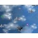 Spaceforce Homeworld - Platforma Steam cd-key