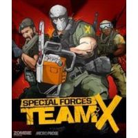 Special Forces: Team X - Platforma Steam cd-key