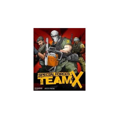 Special Forces: Team X - Platforma Steam cd-key