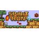 Spirit Run: Fire vs. Ice - Platforma Steam cd-key