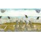 The Rivers of Alice - Extended Version - Platforma Steam cd-key