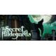 The Secret Of Hildegards - Platforma Steam cd-key