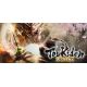 Toukiden: Kiwami - Platforma Steam cd-key