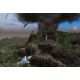 Tropico 4 - Platforma Steam cd-key