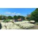 Tropico 4: Plantador DLC - Platforma Steam cd-key